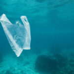 В Днепре подводные охотники очищают дно реки от мусора